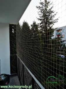 balkon z siatką zabezpieczającą koty